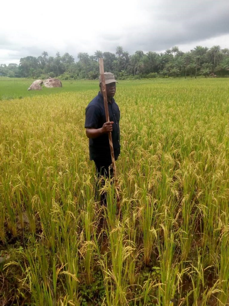 Chief Minister in his 444 acres of farmland